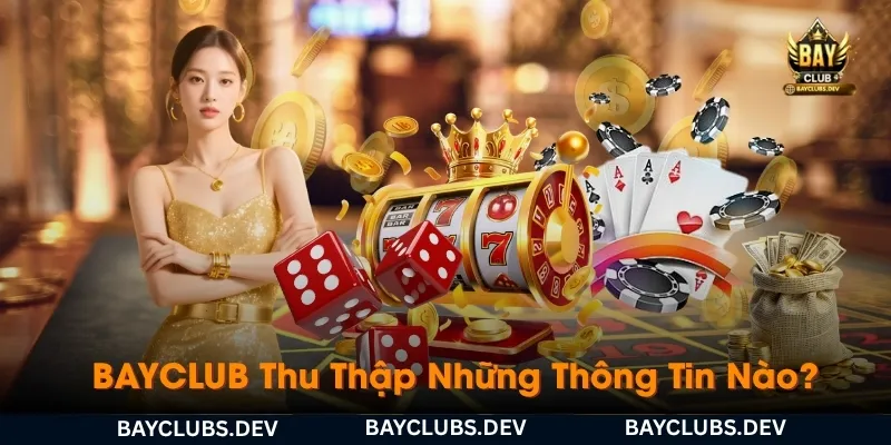 Chính Sách Bảo Mật 2 bayclub-thu-thap-nhung-thong-tin-nao-va-de-lam-gi