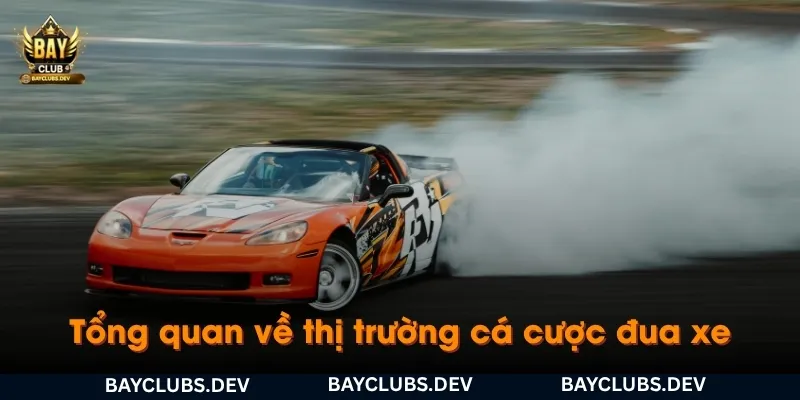 cá-cuoc-dua-xe-bayclub-la-gi-tong-quan-ve-thi-truong-cuoc