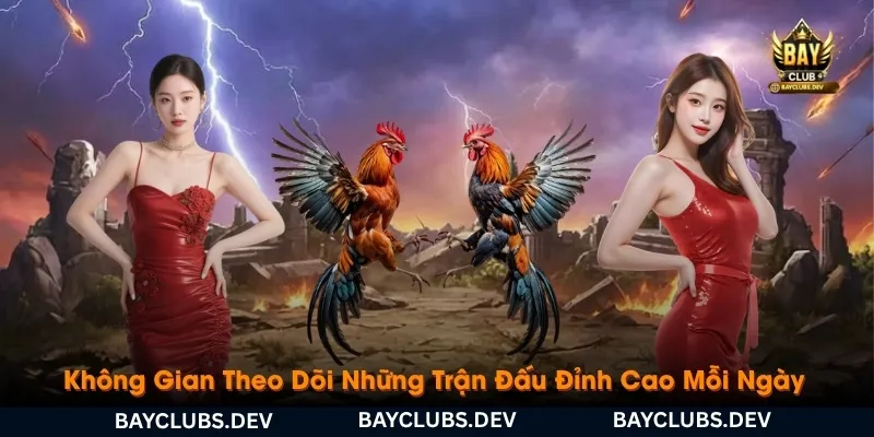 da-ga-bayclub-khong-gian-theo-doi-nhung-tran-dau-dinh-cao-moi-ngay