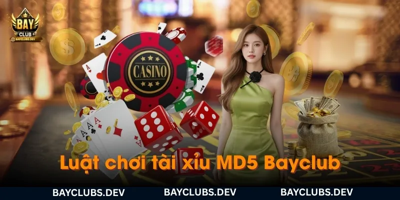 Tài xỉu MD5 là gì? Cách chơi và cách kiểm tra kết quả tại Bayclub 2 luat-choi-tai-xiu-md5-bayclub-va-cac-cua-cuoc-pho-bien