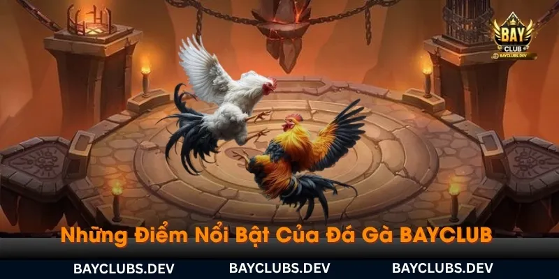 nhung-diem-noi-bat-cua-da-ga-bayclub-va-khuyen-mai-cho-cuoc-thu