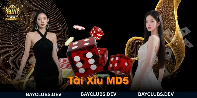 Tài xỉu MD5 là gì? Cách chơi và cách kiểm tra kết quả tại Bayclub 1 tai-xiu-md5