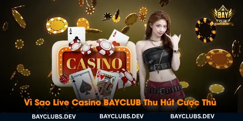 vi-sao-live-casino-bayclub-duoc-dong-dao-nguoi-choi-lua-chon